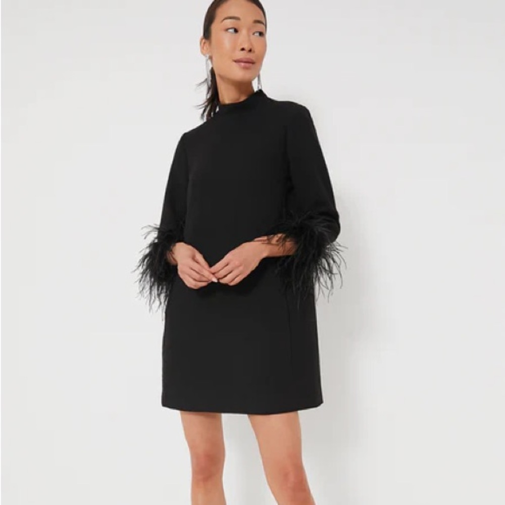 tuckernuck black feather mod ellie dress